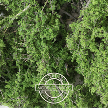 Load image into Gallery viewer, Woodland Scenics - F1131 - Medium Green - Fine Leaf Foliage - Multi Scale