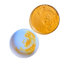 Load image into Gallery viewer, Tropical Orange Fizz Body Butter
